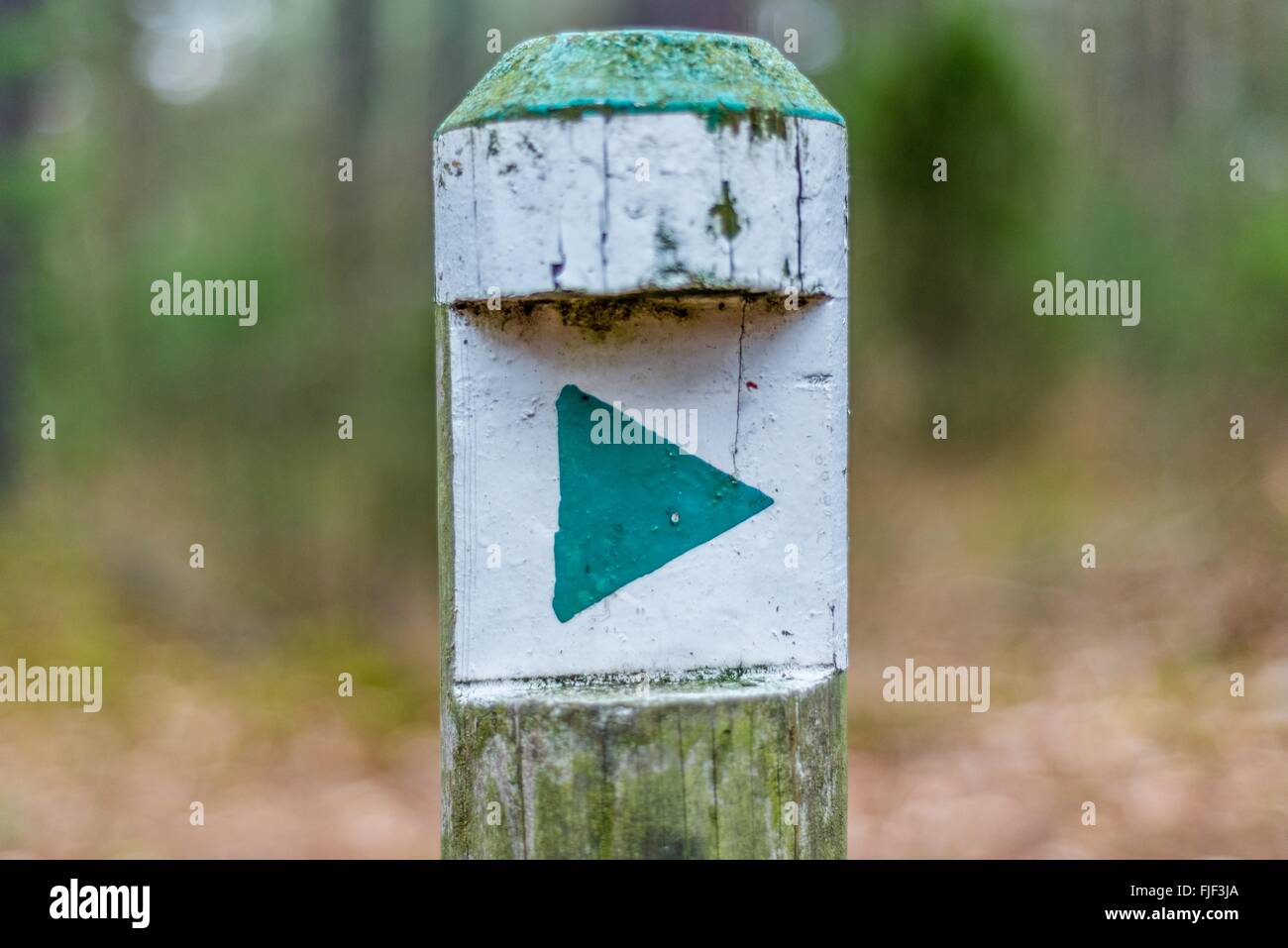 Directions in the forest Stock Photo Alamy