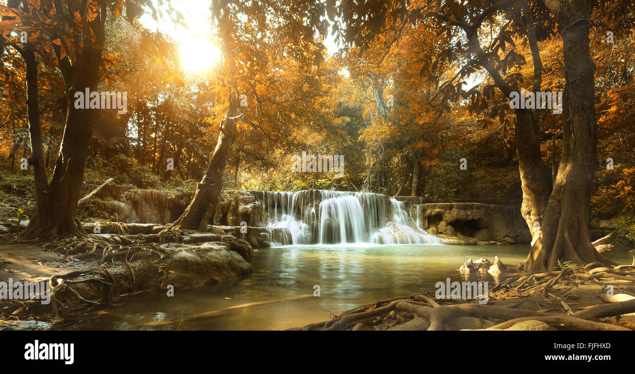 beautiful waterfall in tropical forest Stock Photo