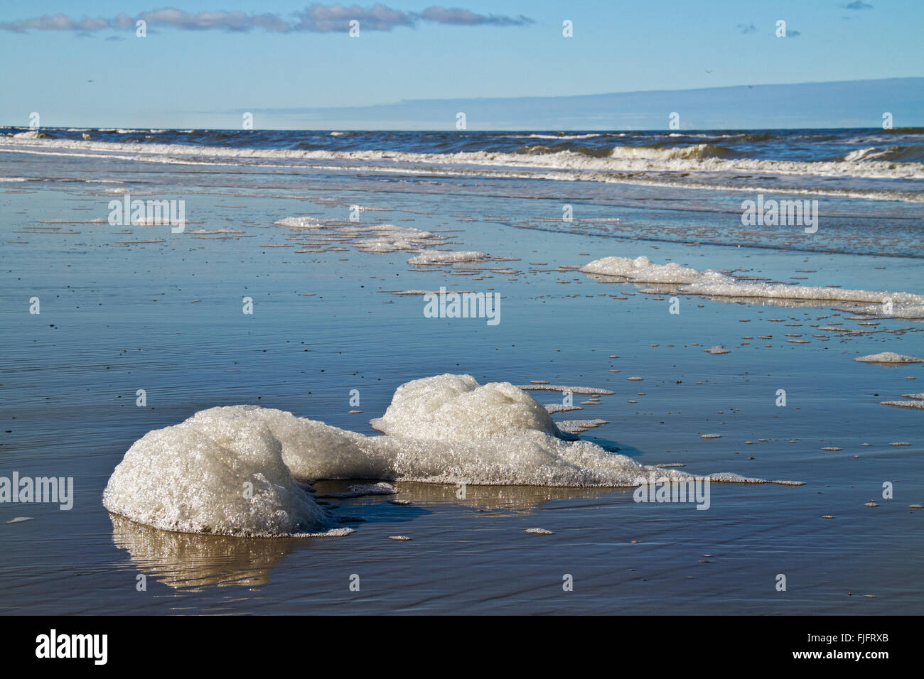 Sea foam, blown from the surf zone to the beach Stock Photo
