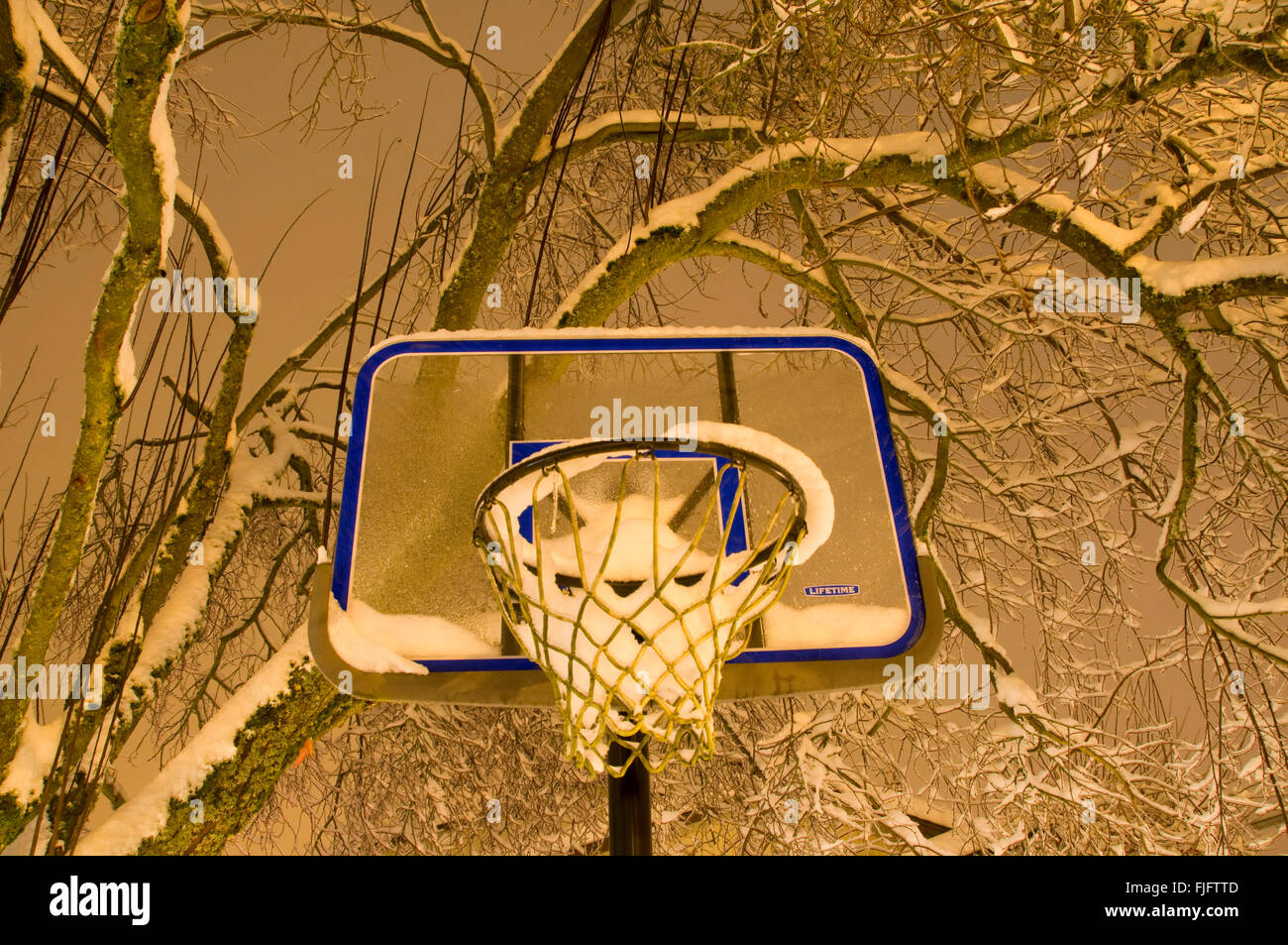 Oregon basketball hires stock photography and images Alamy