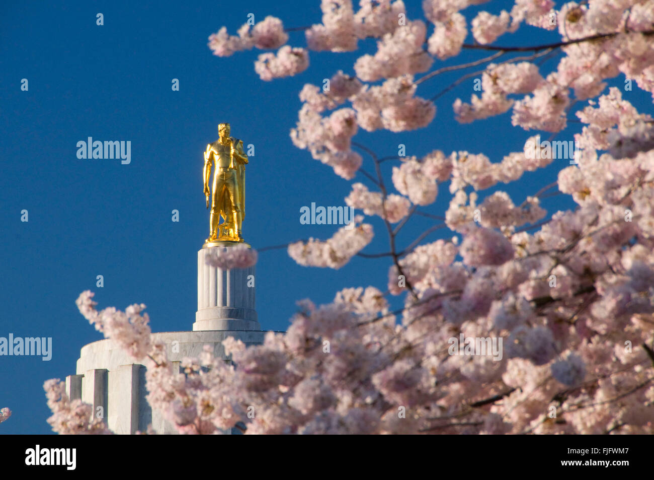 Oregon Pioneer statue (Capitol Dome) with cherry blossoms, State Capitol State Park, Salem