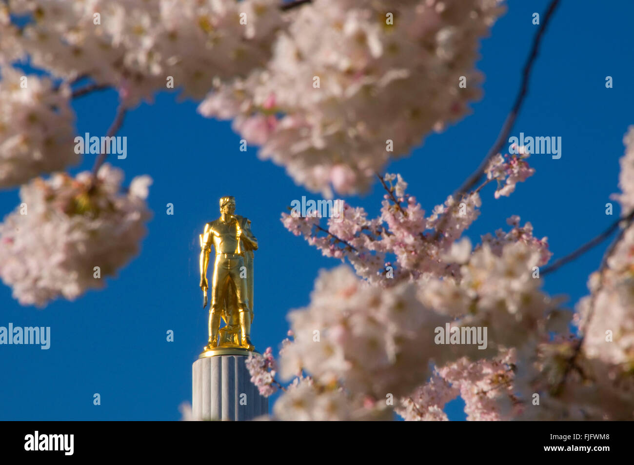 Oregon Pioneer statue (Capitol Dome) with cherry blossoms, State Capitol State Park, Salem