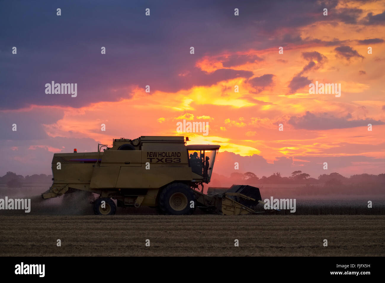Combine Harvester working at Sunset on a Norfolk Farm Stock Photo