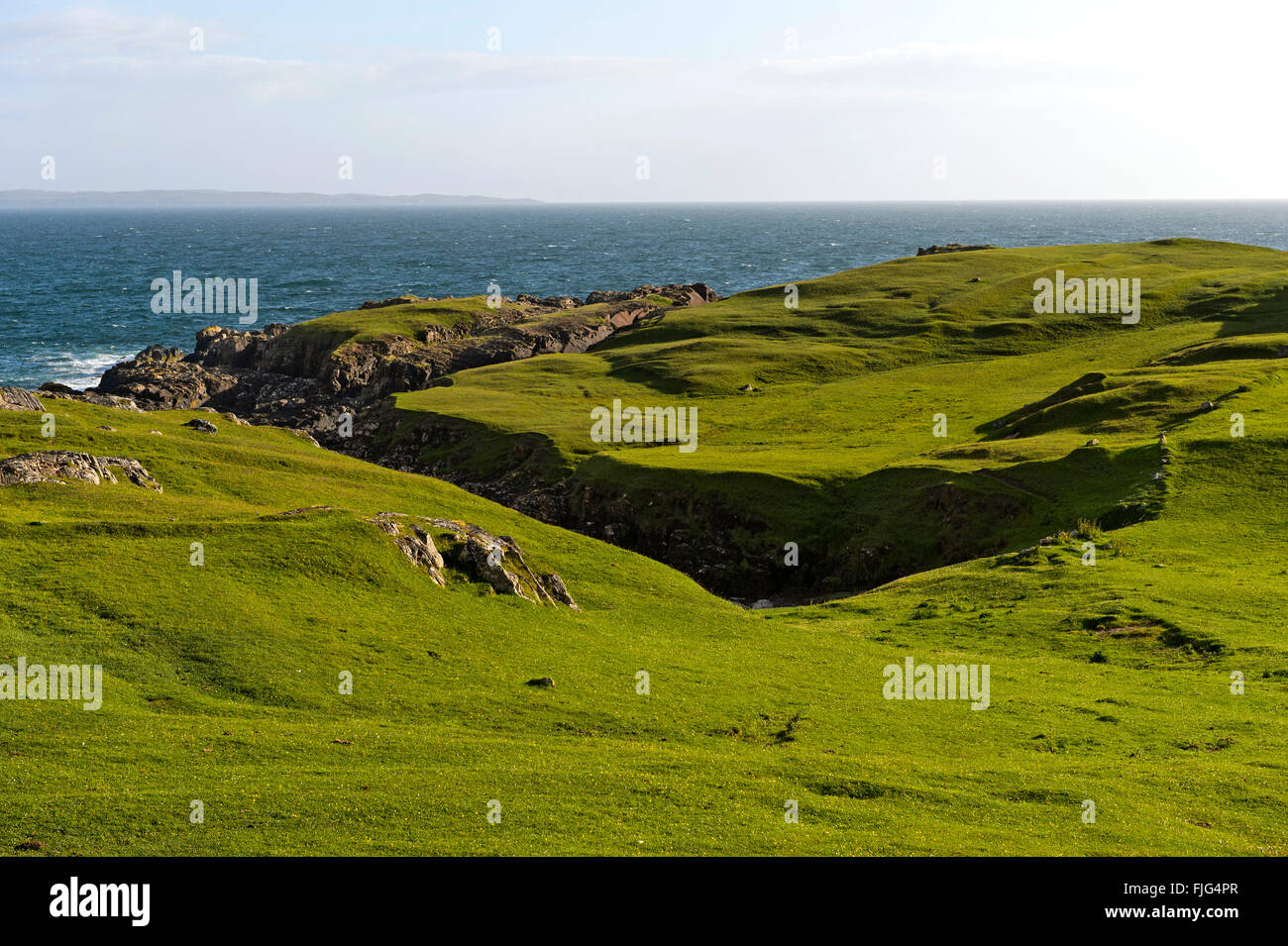 Green pasture on the Scottish coast, Clachtoll, Scotland, United Kingdom Stock Photo