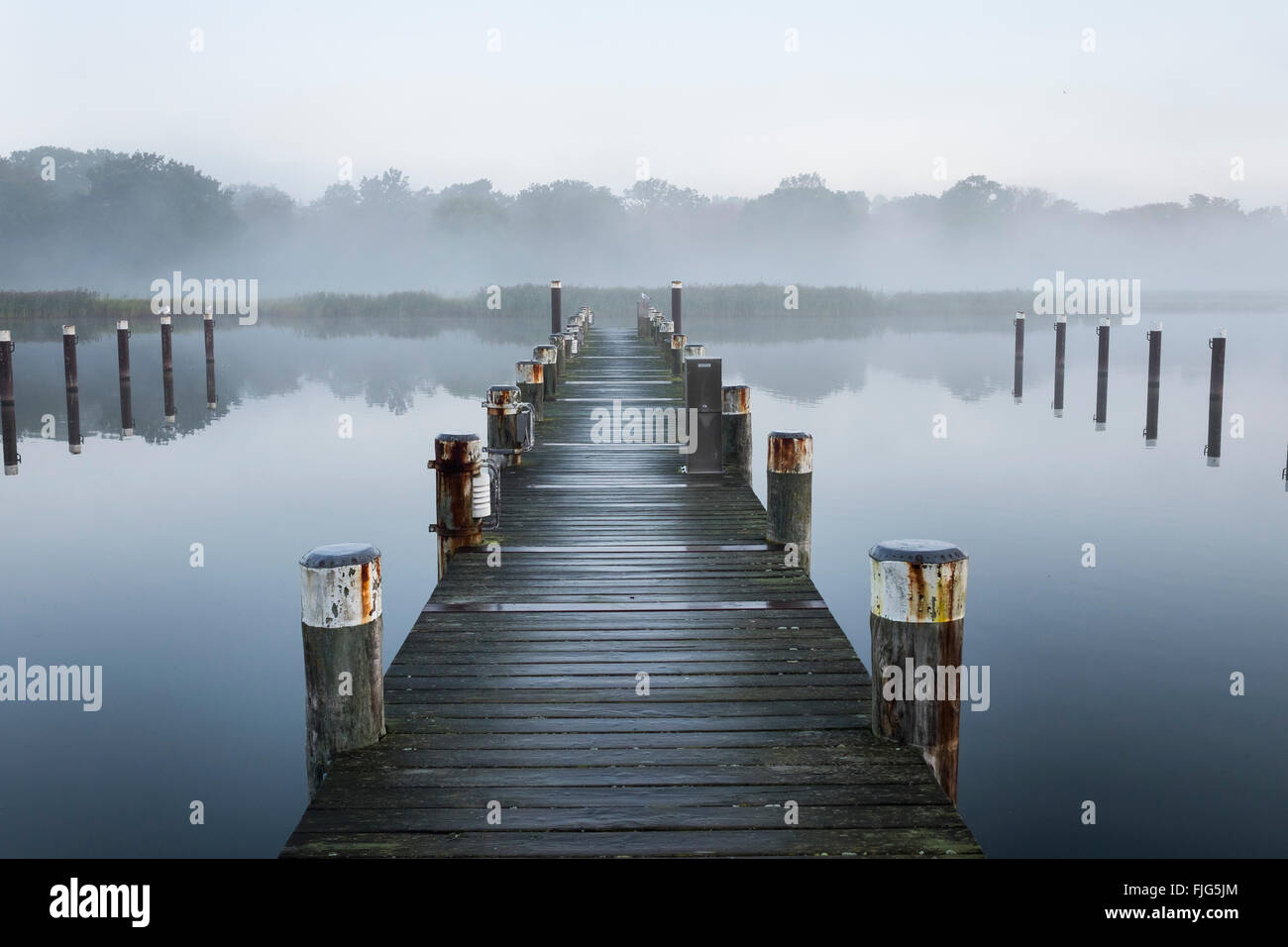 Jetty in morning fog, Port Prerow at Prerower Strom or Prerowstrom, Darss, Fischland-Darß-Zingst, Western Pomerania Lagoon Area Stock Photo