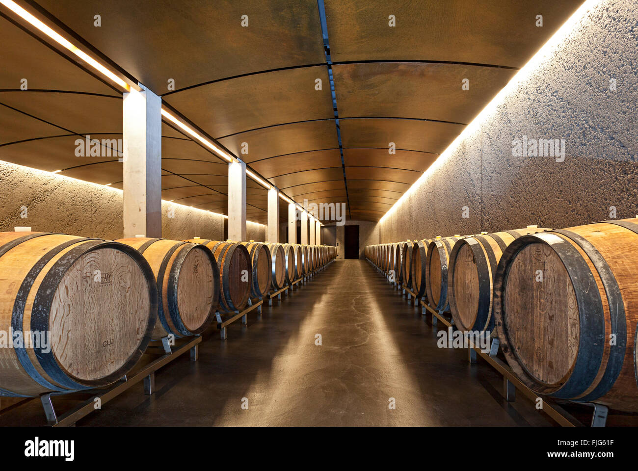 Contemporary barrel cellar, wine cellar with wooden barrels, Davaz winery, Fläsch, Canton of Grisons, Switzerland Stock Photo