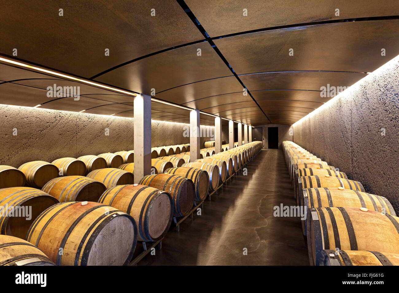 Contemporary barrel cellar, wine cellar with wooden barrels, Davaz winery, Fläsch, Canton of Grisons, Switzerland Stock Photo