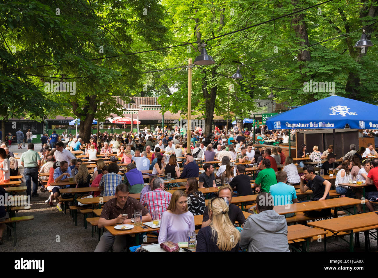 Beer garden, Augustiner-Keller, Munich, Maxvorstadt, Upper Bavaria, Bavaria, Germany Stock Photo