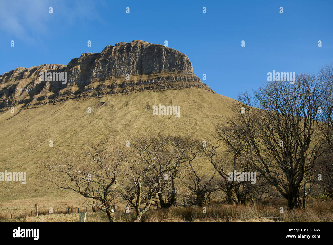 View from the foot of Benbulben Stock Photo