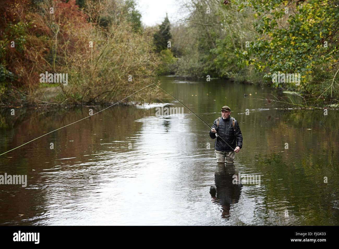 A man fly fishing in a river - London, UK Stock Photo