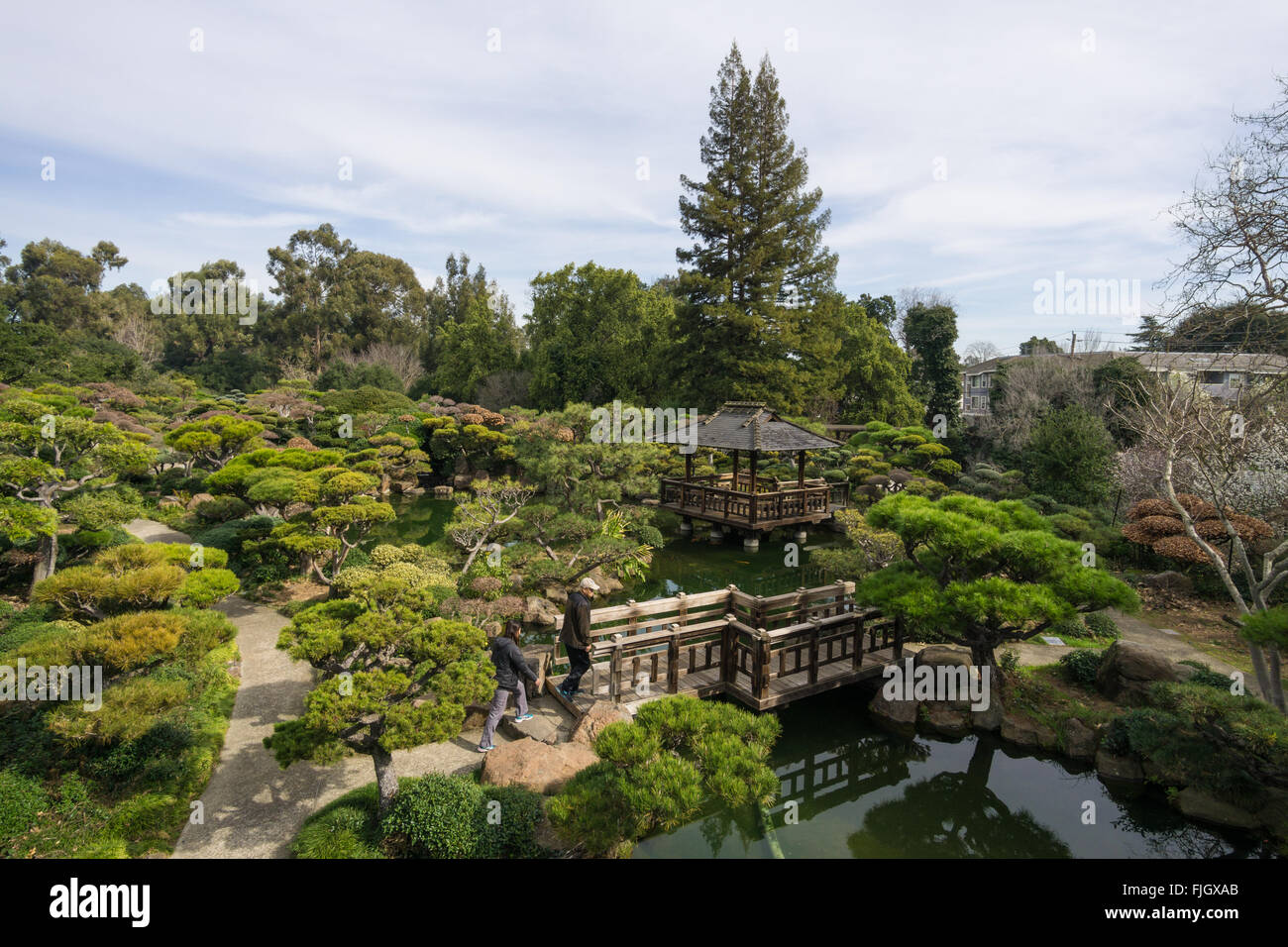 Japanese Gardens Hayward Ca Stock Photo 97487555 Alamy