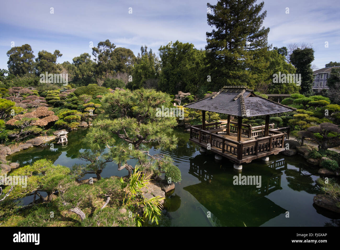 Japanese Gardens Hayward Ca Stock Photo 97487566 Alamy