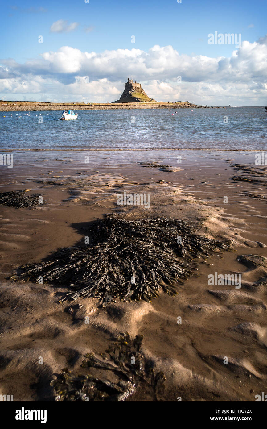 Lindisfarne Castle with beach, Holy Island, Northumberland, England, UK