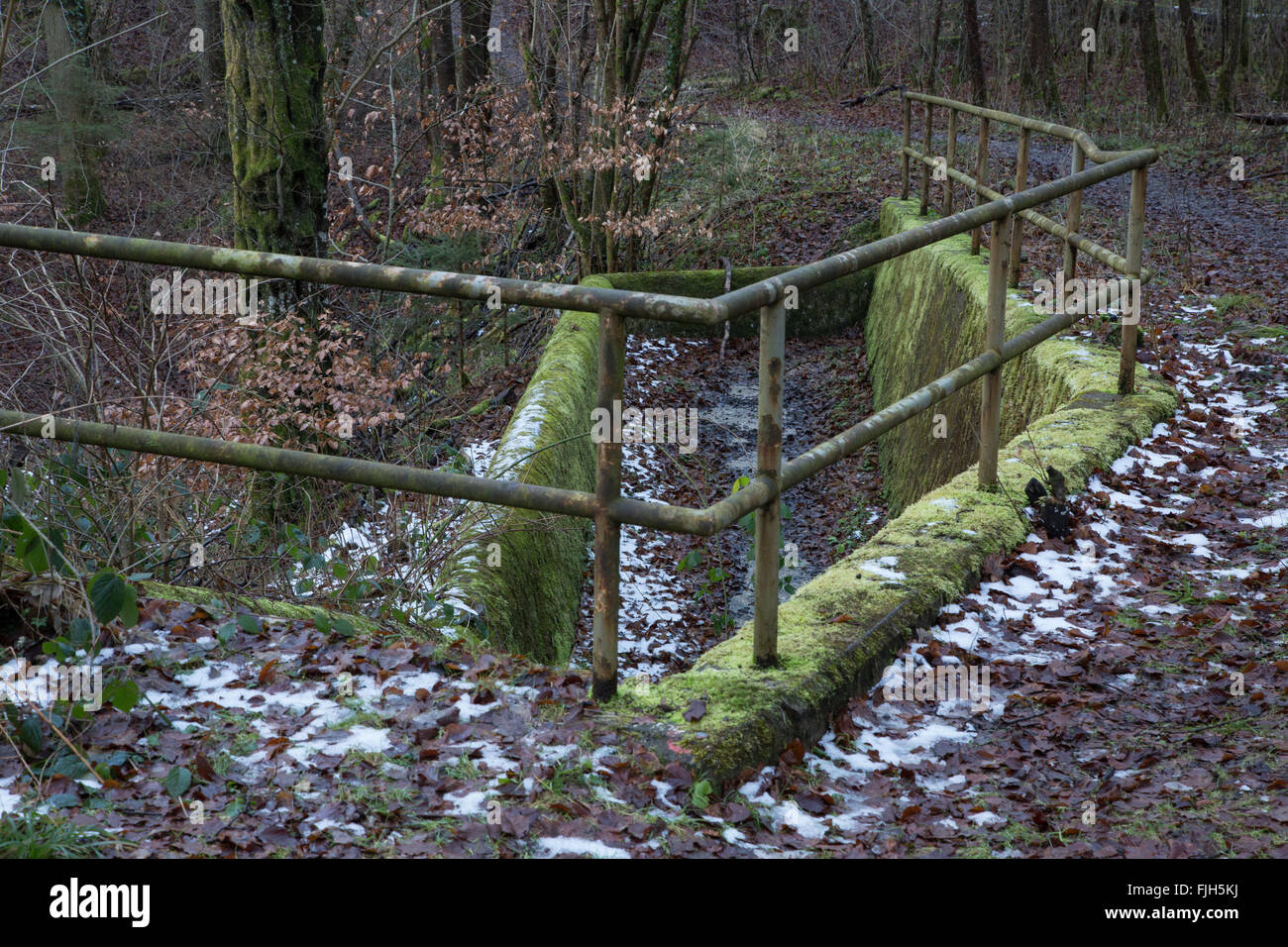 overflow, part of flood control structure in a forest, overgrown by moss, unkempt, out of use, built in concrete Stock Photo