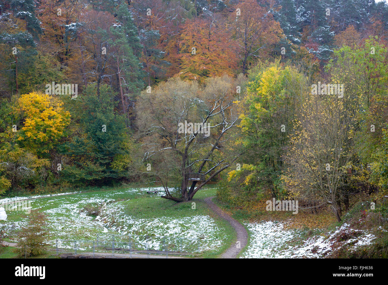 first snow in autumn at the edge of a wood, intense colorful leaves, valley with small stream and footpath Stock Photo