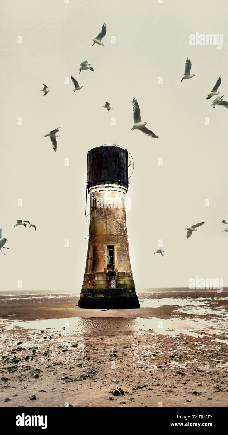 old abandoned lighthouse on the beach and seagulls Stock Photo