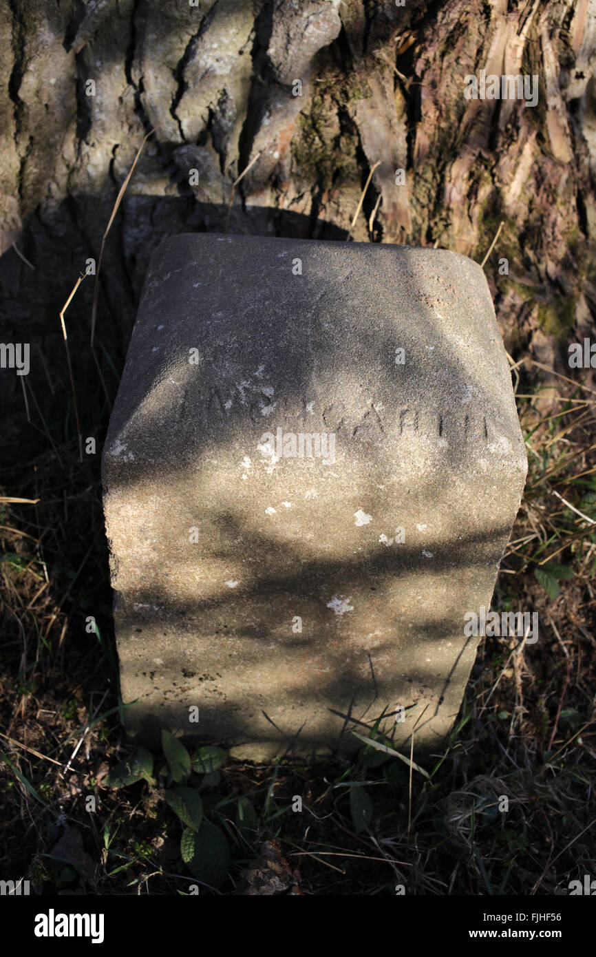 Milestone against a tree Inchgarth reservoir Cults Aberdeen city