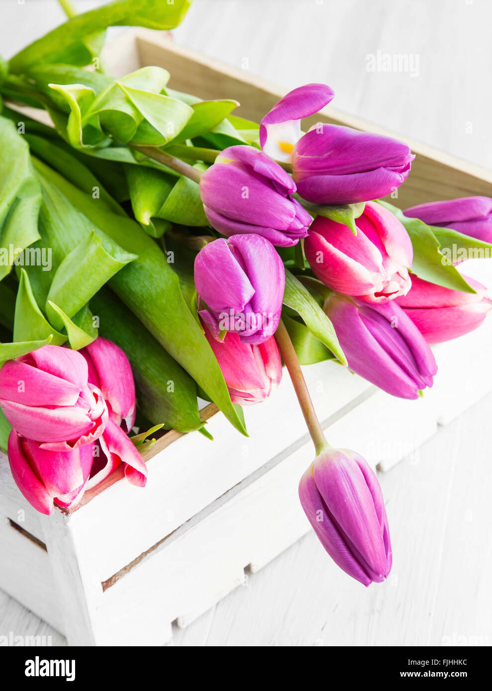 Purple and pink spring tulips in white wooden box Stock Photo - Alamy