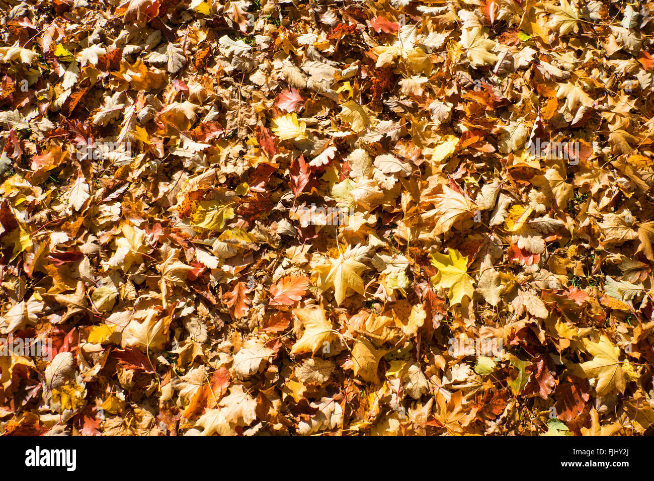 Background colours colors hi-res stock photography and images - Alamy