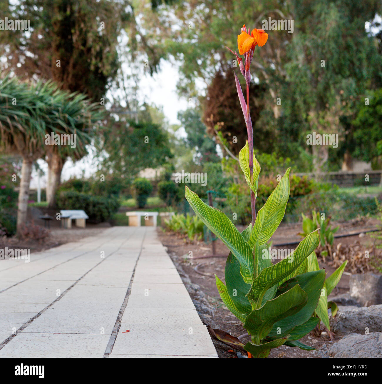 Road to emmaus israel hi-res stock photography and images - Alamy