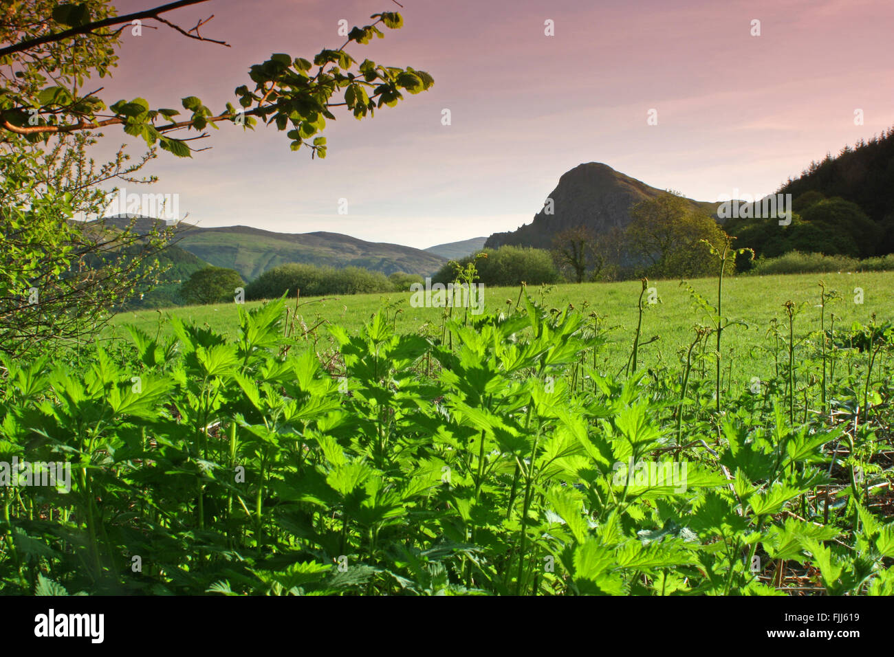 Craig Yr Aderyn Tywyn Mid Wales Stock Photo Alamy