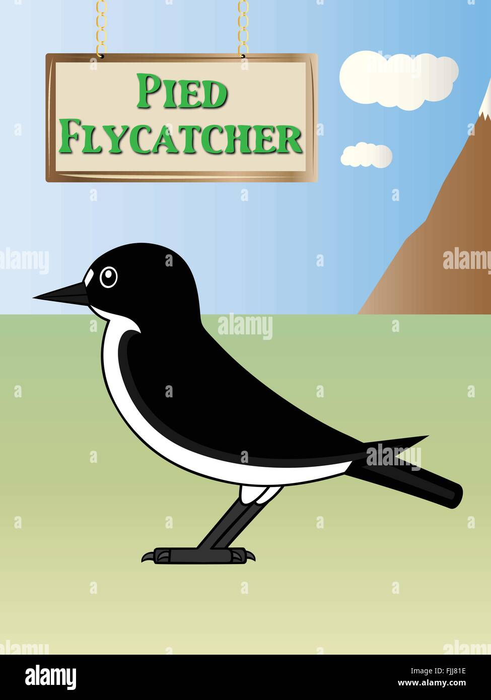 European pied flycatcher vector illustration on natural background Stock Vector