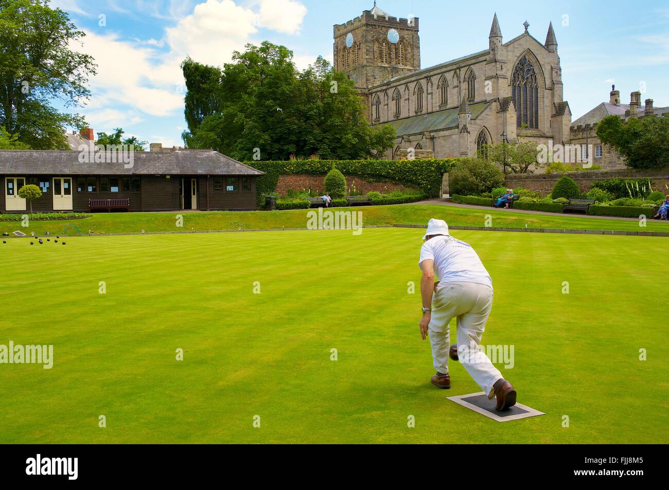 Lawn Bowls. Man rolling his bowl. Hexham House Bowling Club, Hexham, Northumberland, England, United Kingdom, Europe. Stock Photo