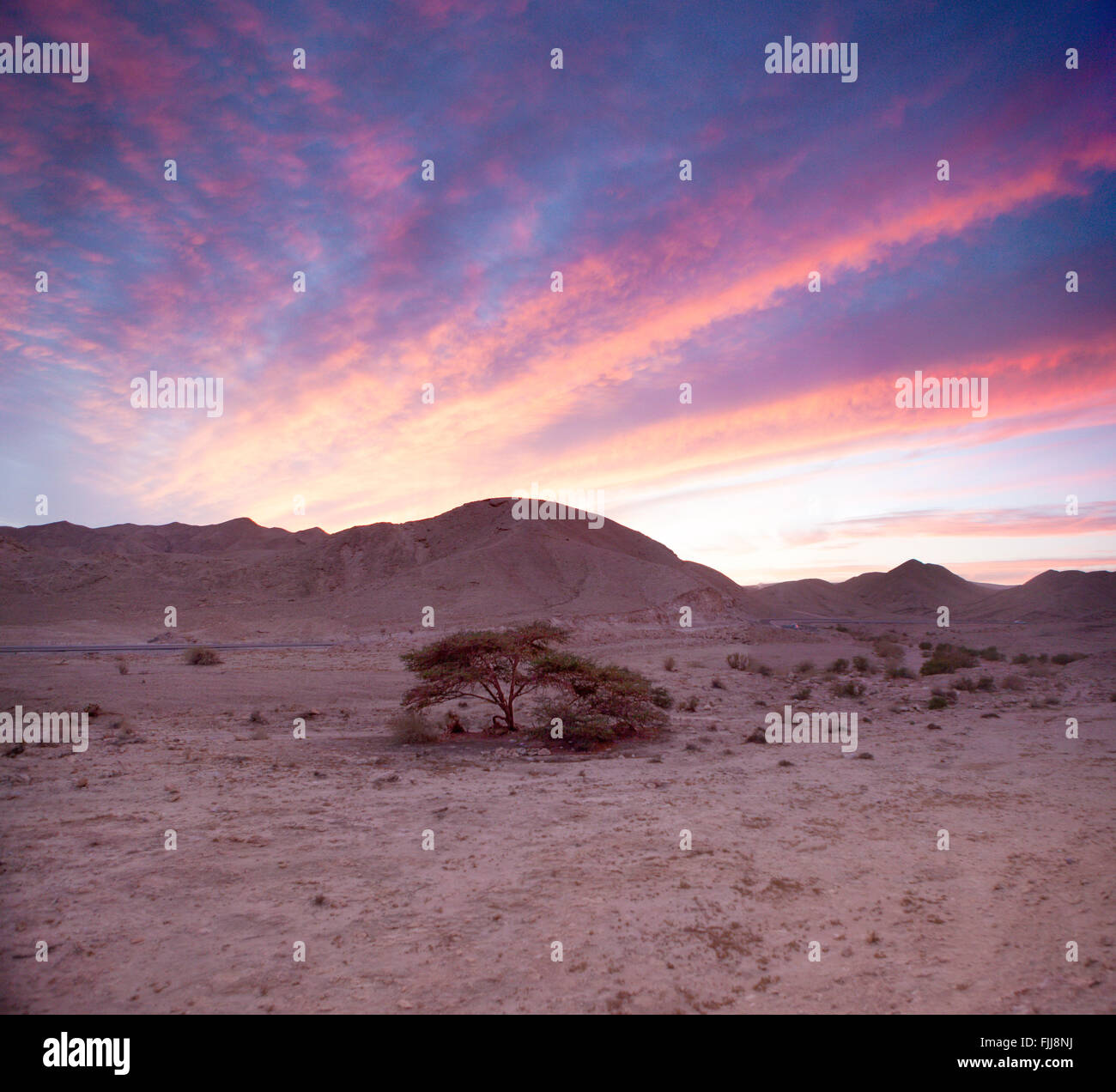 Road to emmaus israel hi-res stock photography and images - Alamy