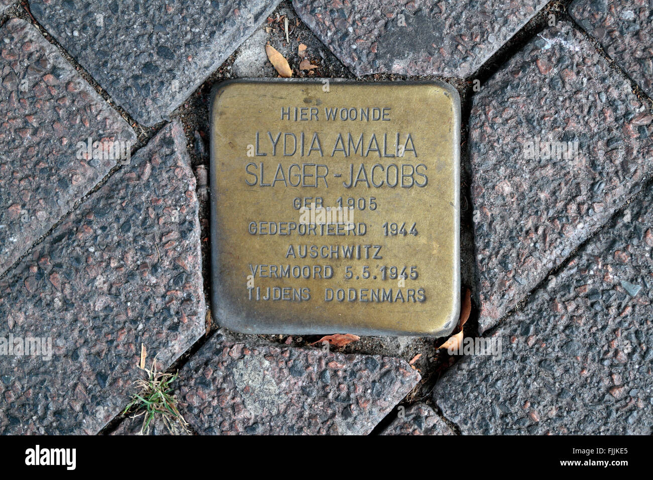 One of the many bronze Stolpersteine or Stumbling Stones pavement memorial markers in Eindhoven, Netherlands. Stock Photo