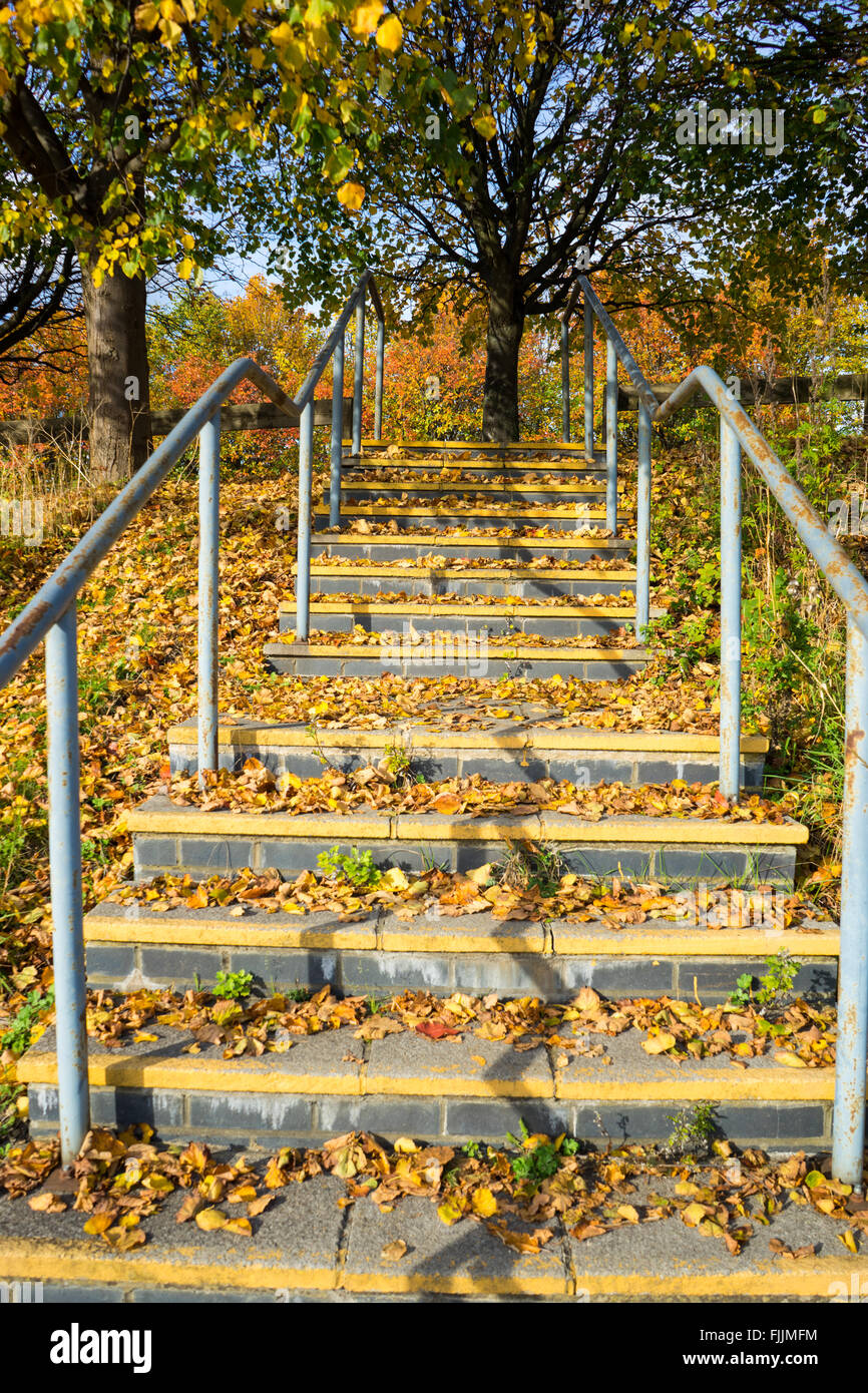 Stairs covered leaves hi res stock photography and images Alamy Stairs covered leaves hi res stock photography and images Alamy