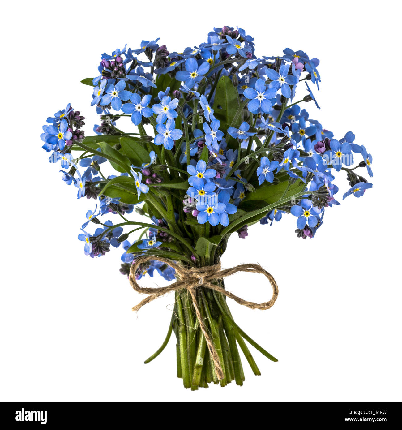 Bouquet of blue isolated on white background Stock Photo Alamy