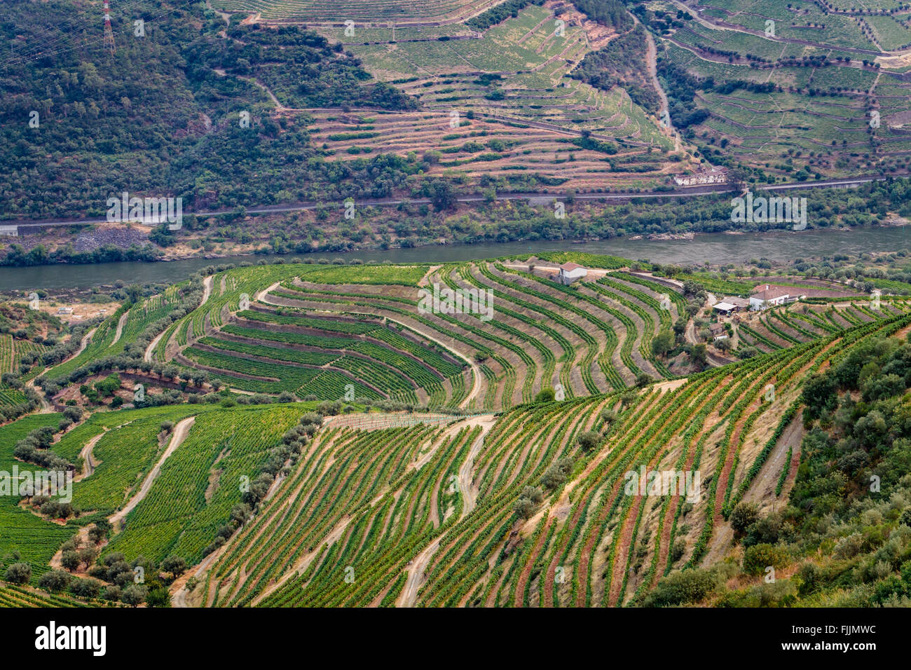 Harvesting grapes douro valley hires stock photography and images Alamy