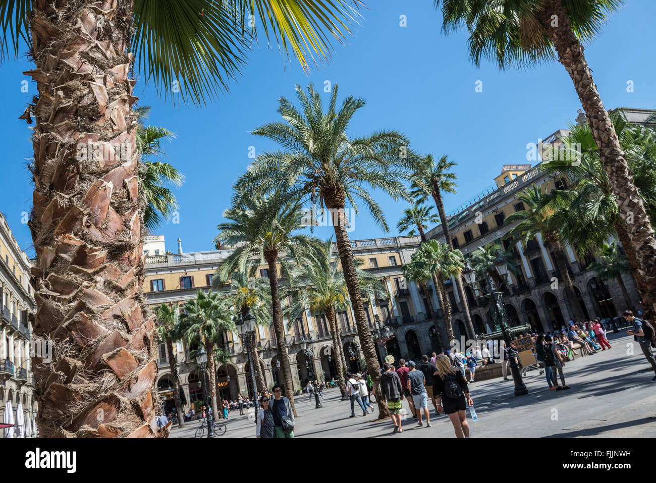 Placa Reial (Placa Reial) square in the Barri Gotic district of Barcelona, Catalonia, Spain Stock Photo