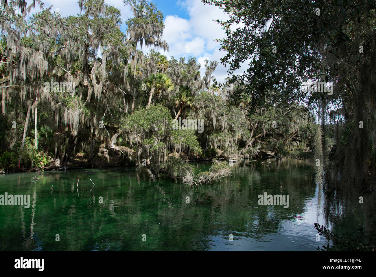 Blue Spring State Park is a state park located west of Orange City, Florida in the United States and serves as the winter home o Stock Photo