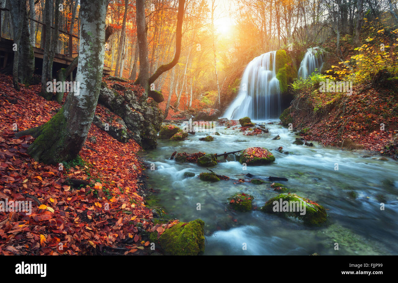 Beautiful waterfall at mountain river in colorful autumn forest with red and orange leaves at sunset. Nature landscape Stock Photo