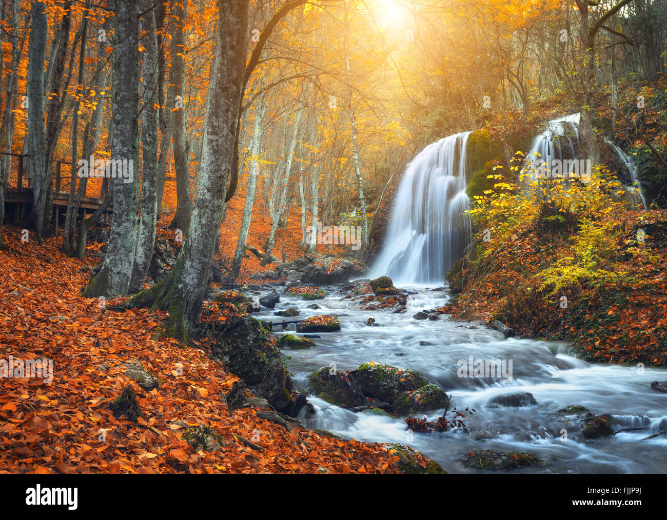 Beautiful waterfall at mountain river in colorful autumn forest with red and orange leaves at sunset. Nature landscape Stock Photo
