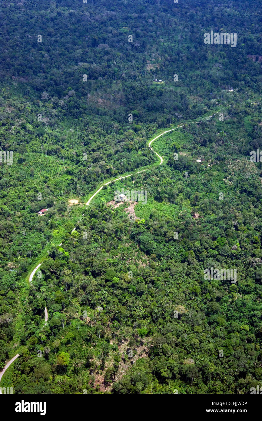 Aerial view of road through the Amazon rain forest. Stock Photo