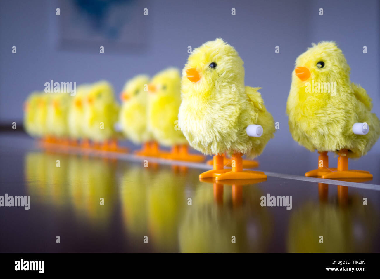 A wind-up baby chick toy. Concept: leadership, taking the first step, standing out from the crowd. Stock Photo