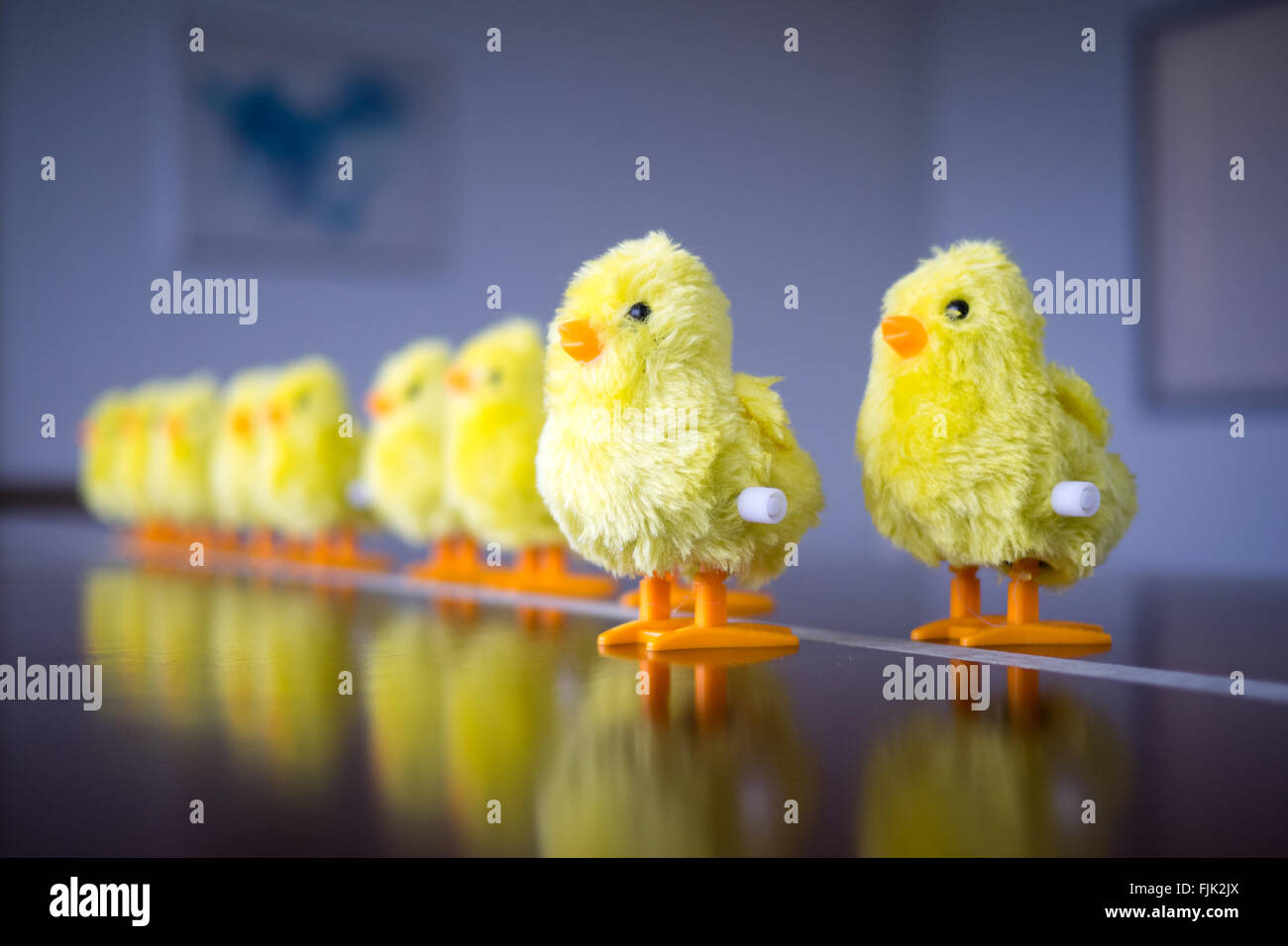 A wind-up baby chick toy. Concept: leadership, taking the first step, standing out from the crowd. Stock Photo