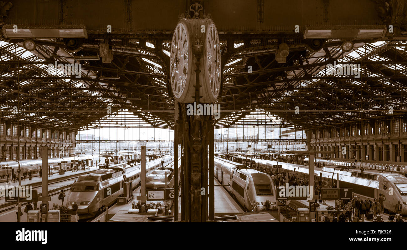 Wideangle view of TGV trains at the Gare de Lyon railway station