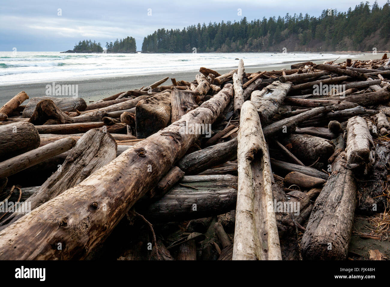 Driftwood at Florencia Bay (Wreck Beach) - Pacific Rim National Park - near Tofino, Vancouver Island, British Columbia, Canada Stock Photo