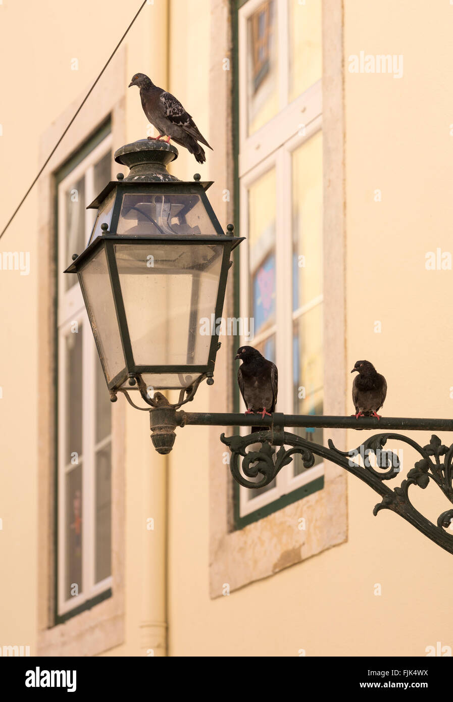 Wrought iron street lamp lamps hi-res stock photography and images - Alamy