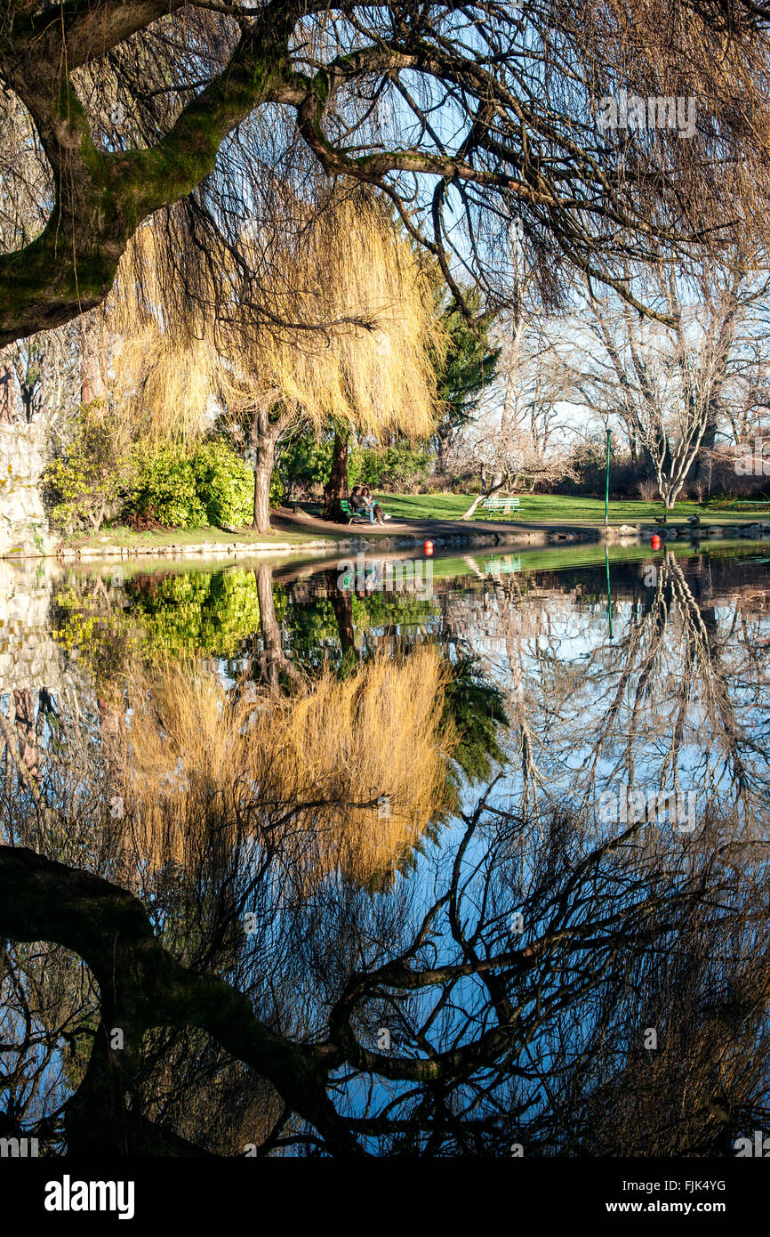 Reflections in Pond at Beacon Hill Park, Victoria, Vancouver Island