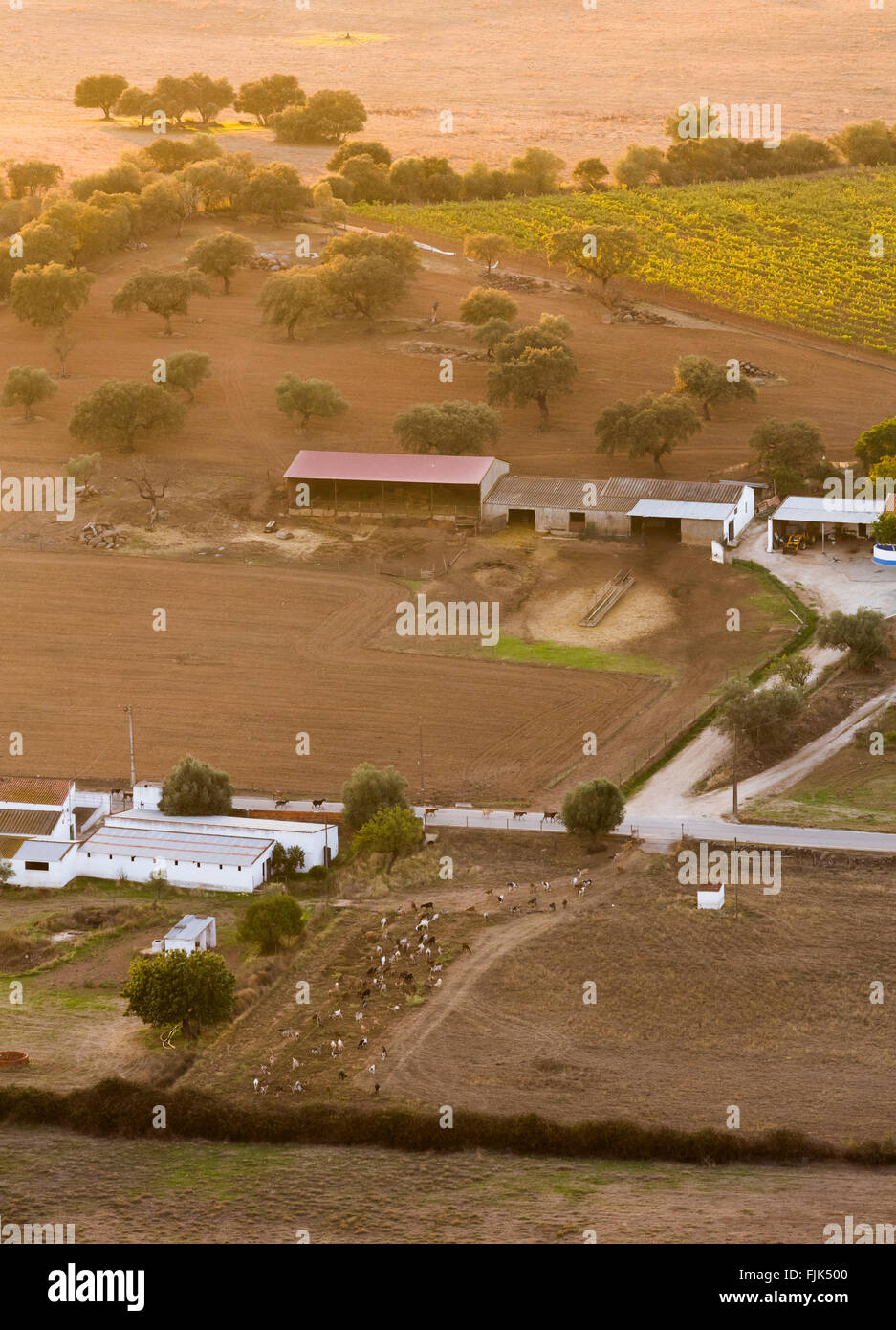 Aerial view of livestock, fields and agricultural buildings on a farm in the Alentejo region, Portugal Stock Photo
