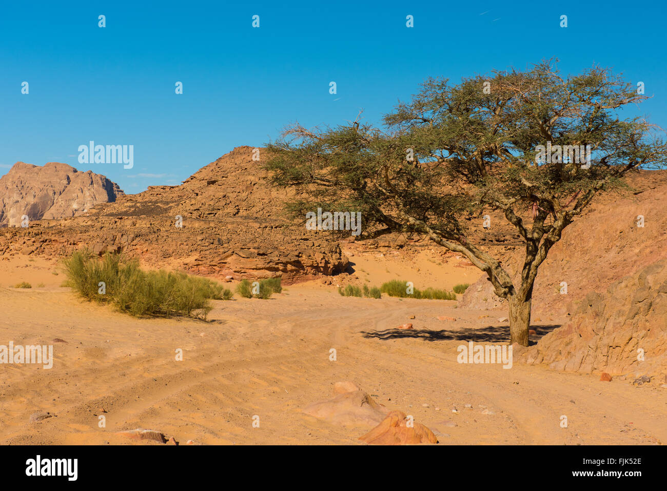 Egypt Sinai desert view Rocky hills Blue sky Stock Photo