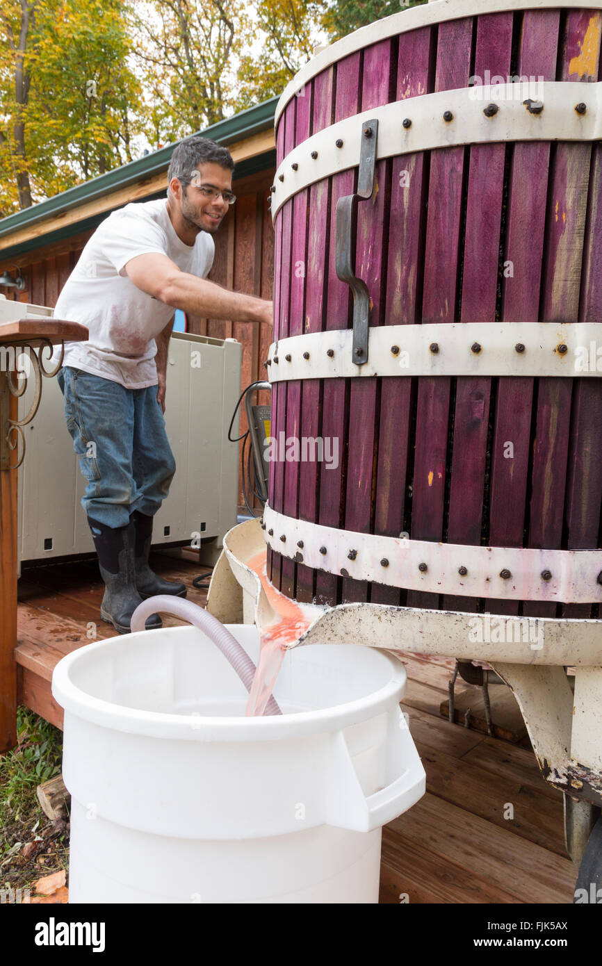 Vintner using a traditional wooden wine press to make red wine at a winery in Washington State, USA Stock Photo