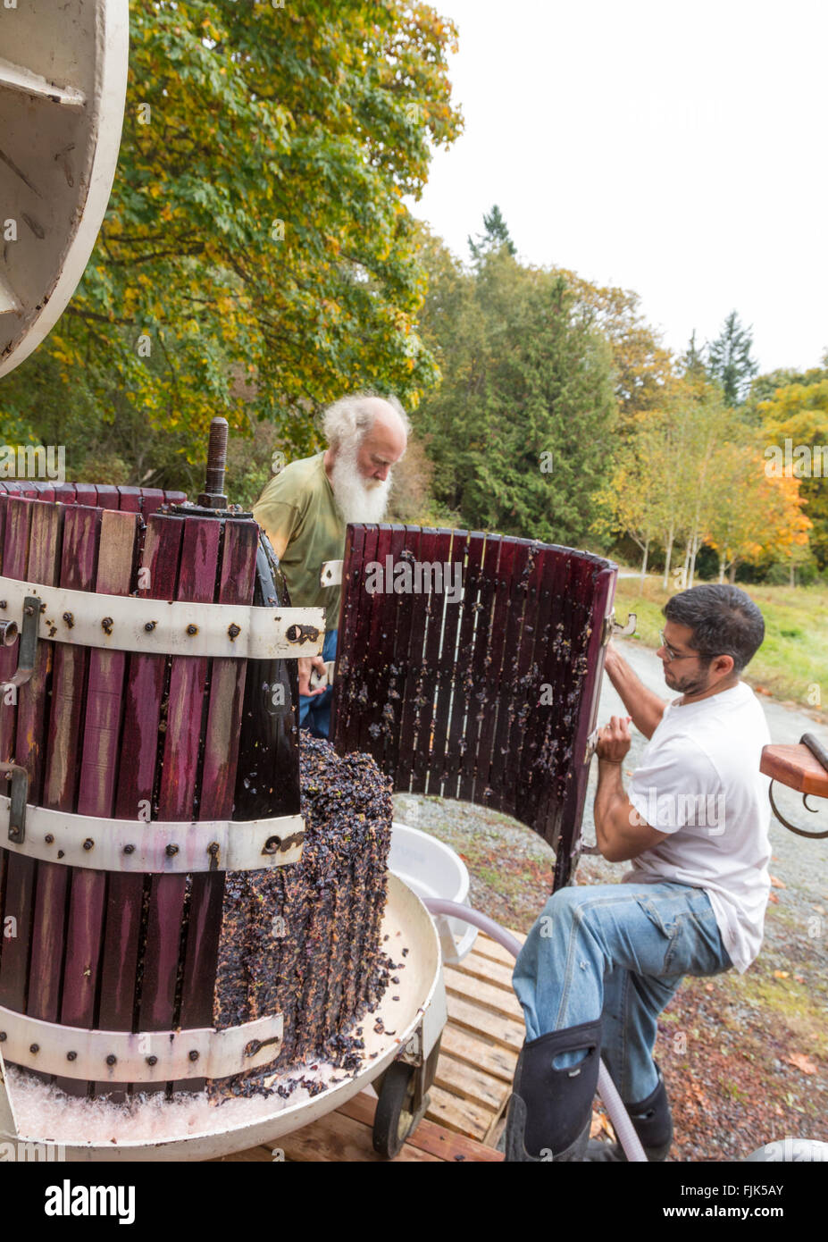 Pressing wine grapes hires stock photography and images Alamy