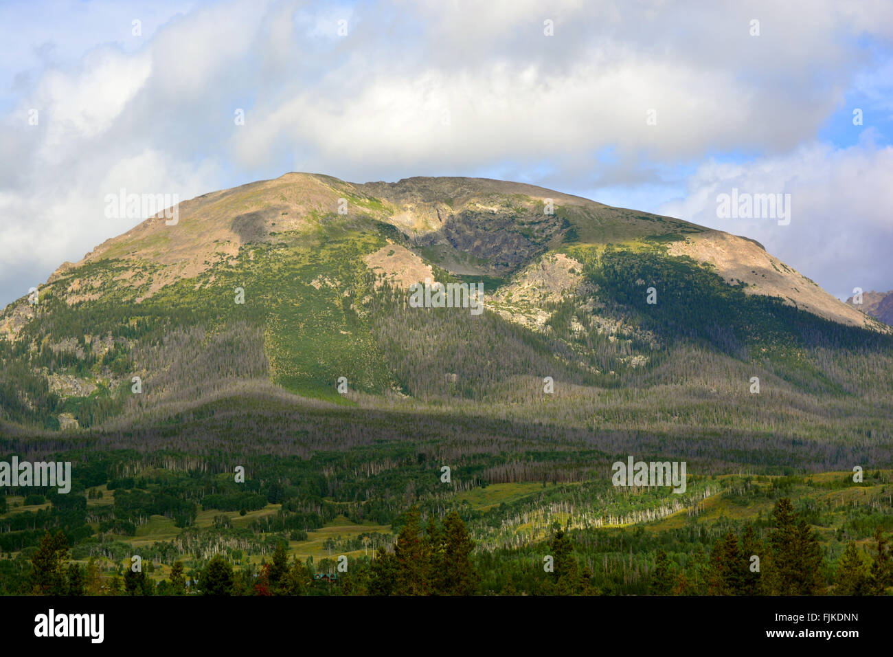 Rounded Tree Covered Mountain Top Stock Photo