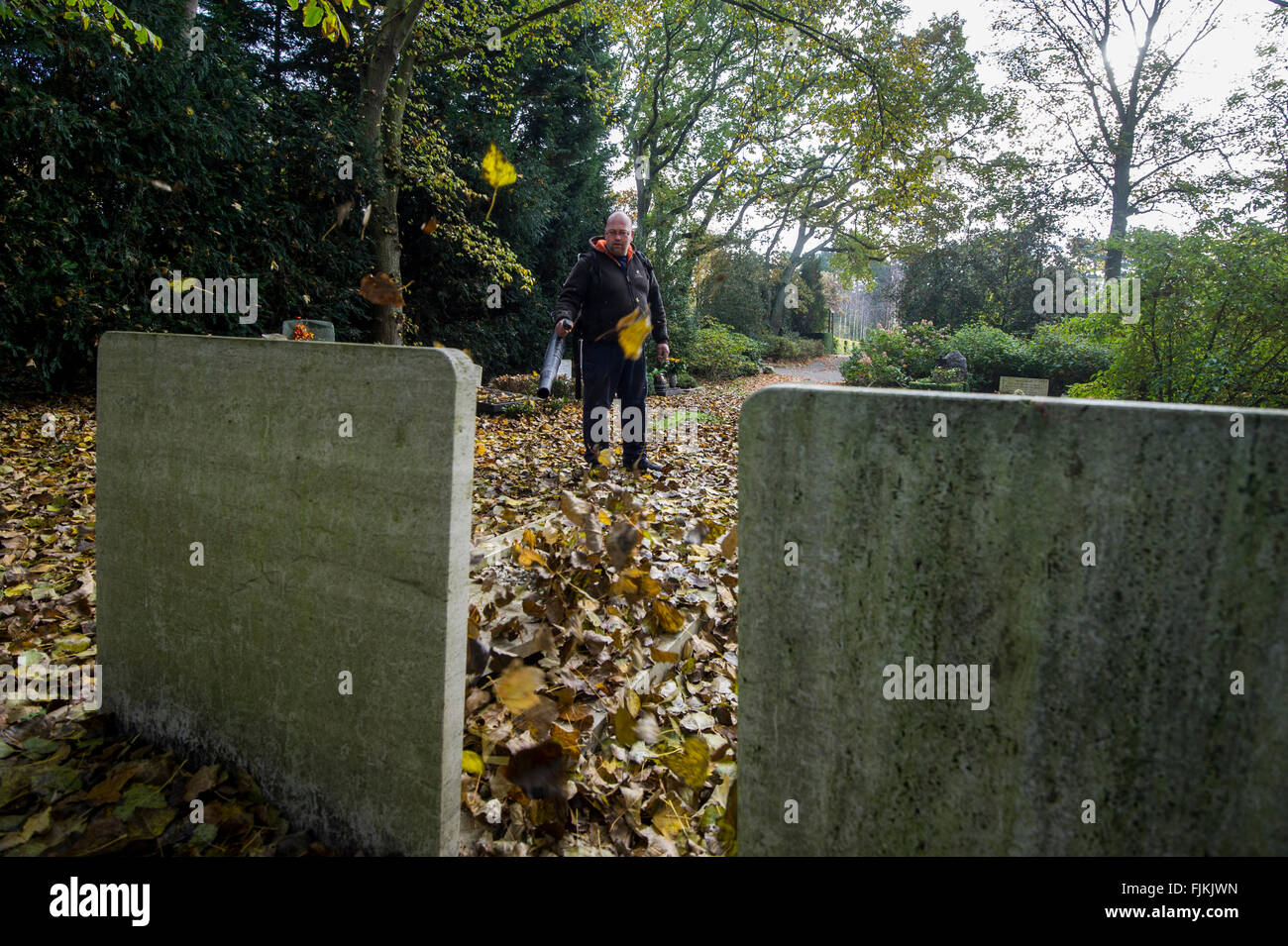 Photo: Gerrit de Heus. The Netherlands. The Hague. 03-11-2015. Cleaning autumn leaves at the cemetery. Stock Photo