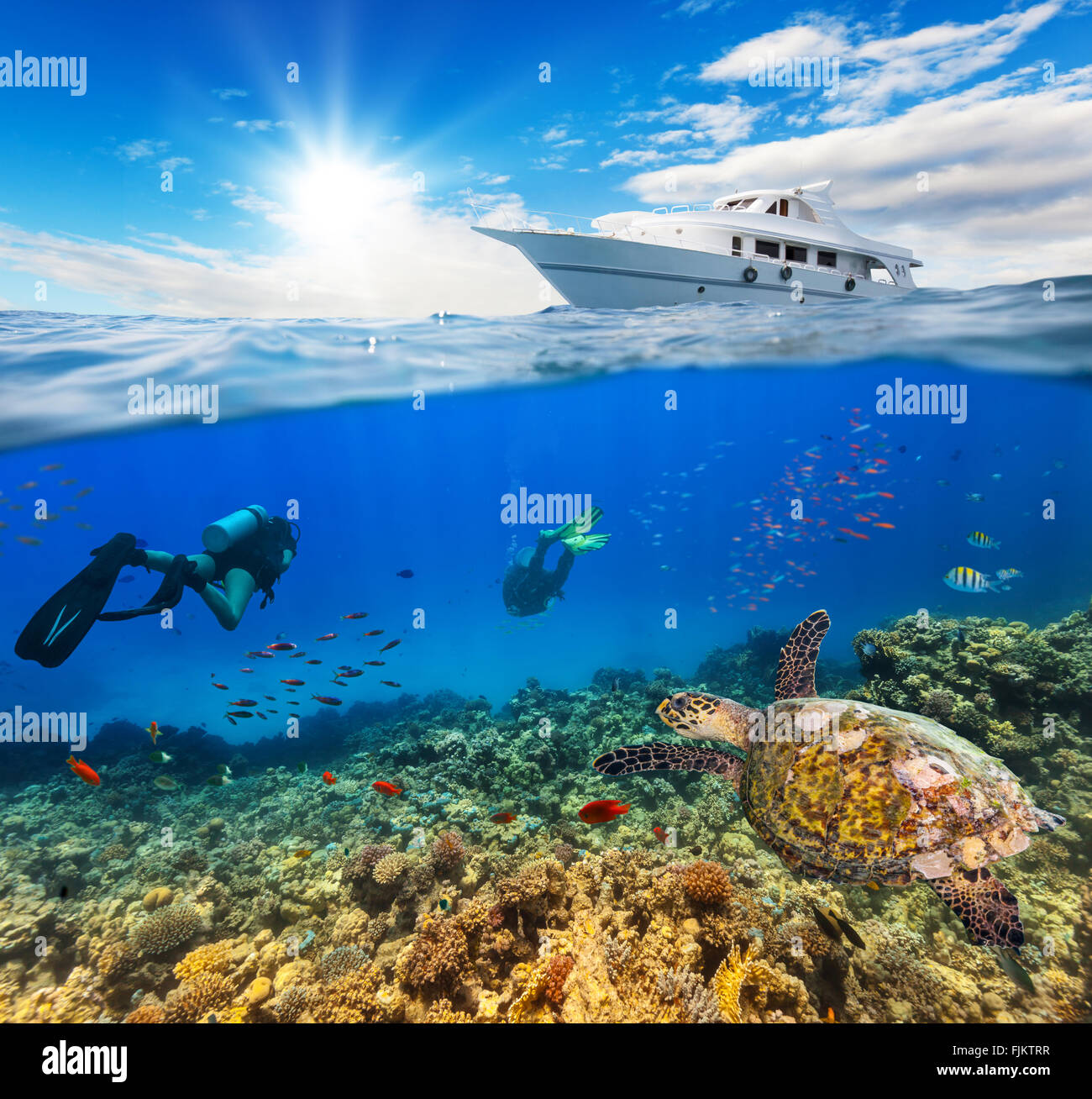 Underwater coral reef with scuba divers Stock Photo